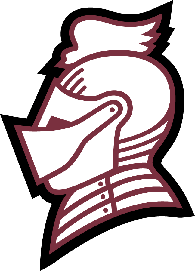 Bellarmine Knights 2010-Pres Secondary Logo v2 iron on transfers for T-shirts